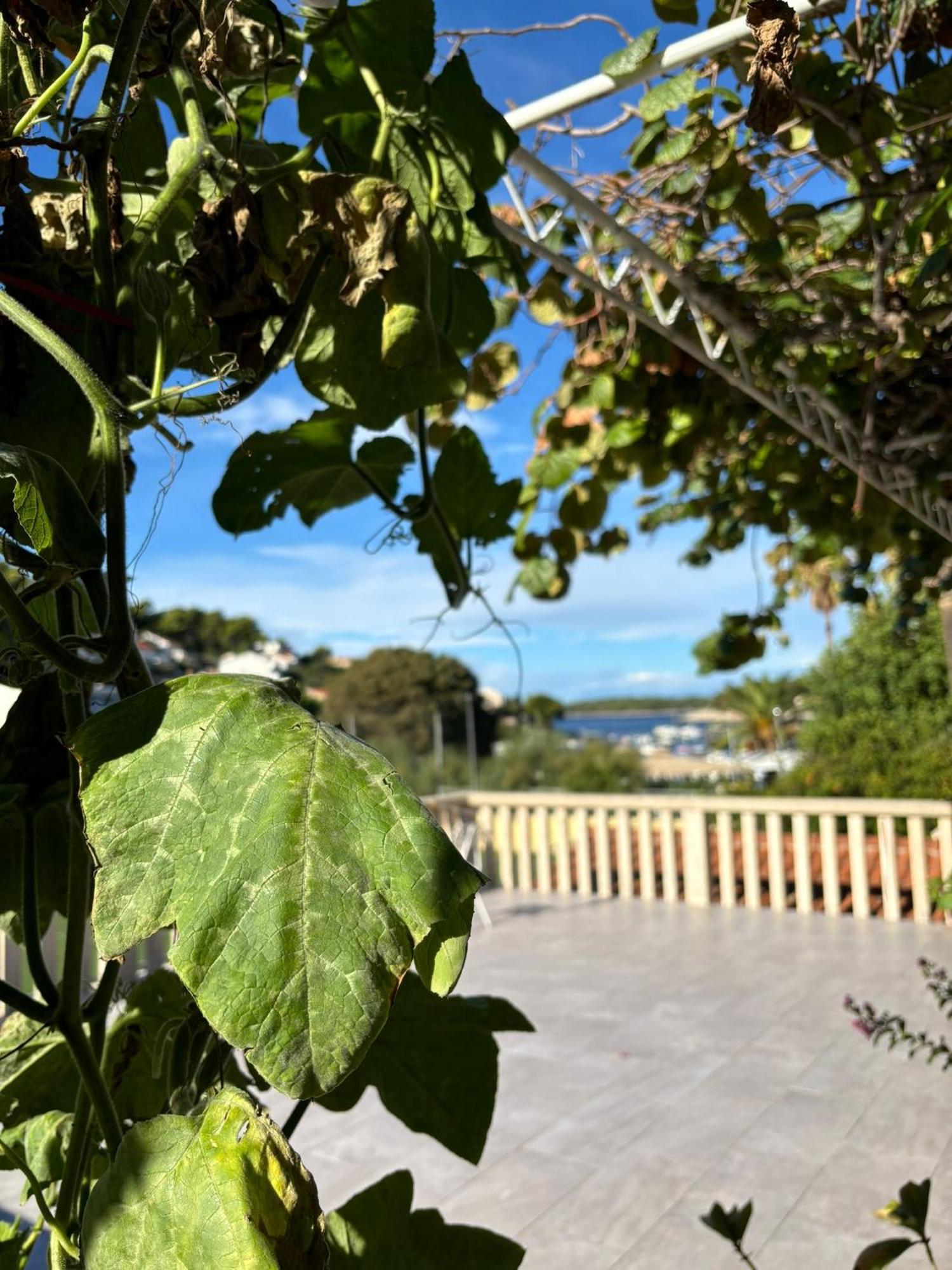 Apartments Fora - Hvar Đảo Hvar Ngoại thất bức ảnh